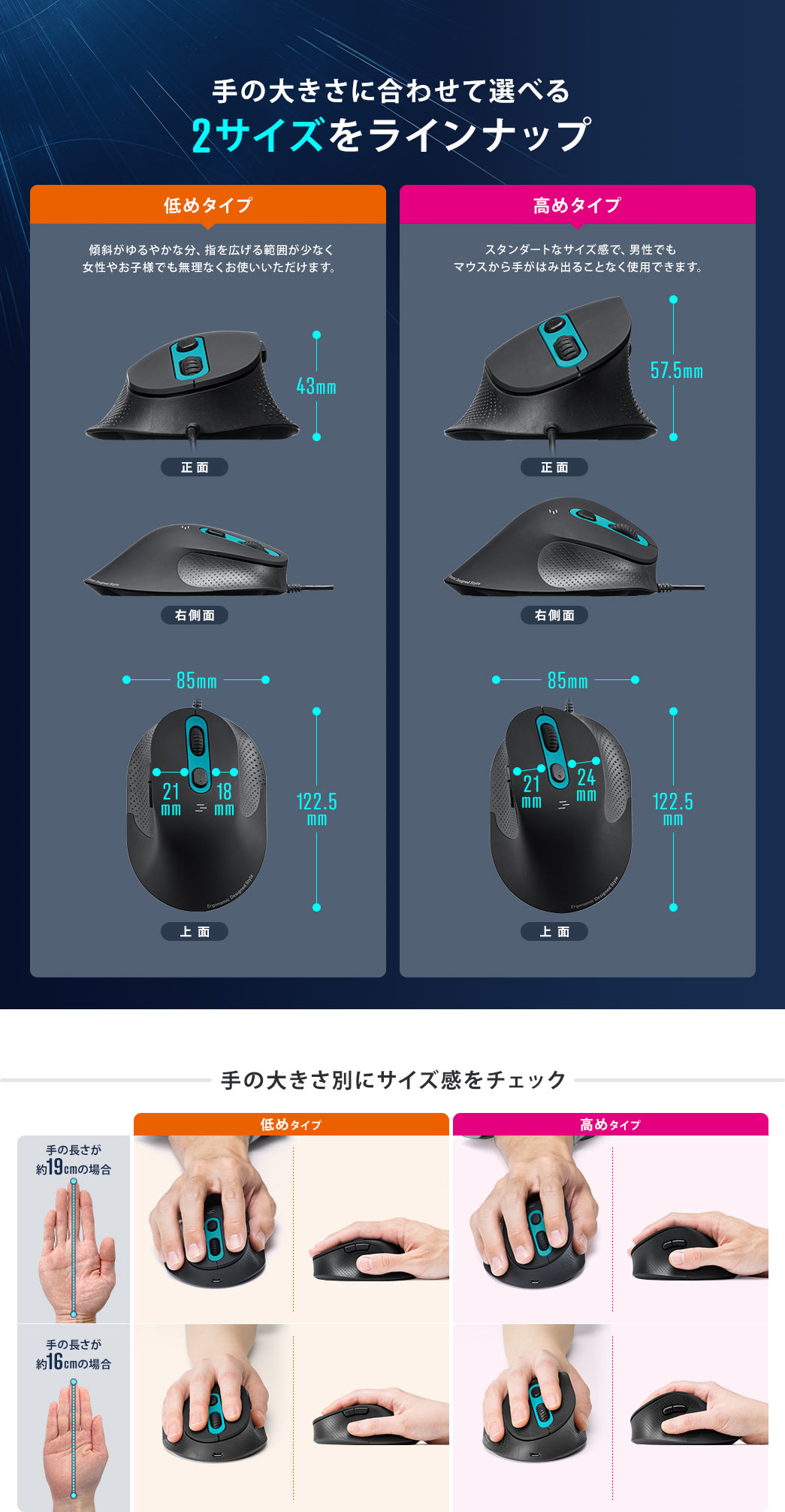 手の大きさに合わせて選べる2サイズをラインナップ