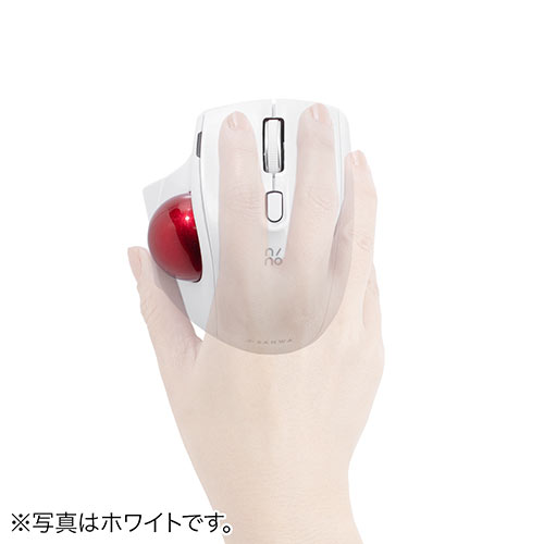 エルゴノミックデザイン ブラックドライヤー エルゴノミックデザイン ブラックドライヤー