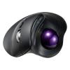 トラックボールマウス チルトホイール 高速スクロール エルゴノミクス 静音 2.4GHz Bluetooth ワイヤレス 5ボタン USB-C充電式 バイオレット