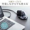 推し活マウス ワイヤレスエルゴマウス Bluetooth 2.4GHzワイヤレス 超高速充電 5ボタン ブラック