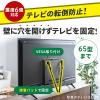 【アウトレット】テレビ転倒防止ベルト 両面テープ取り付けタイプ VESA 壁固定 65型まで 震度6強対応