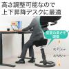 エルゴノミクスチェア(人間工学オフィスチェア・高さ調節・上下昇降デスク対応・swopper・aeris社製・ブラック)