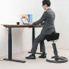 エルゴノミクスチェア(人間工学オフィスチェア・高さ調節・上下昇降デスク対応・swopper・aeris社製・ブラック)