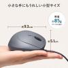 【アウトレット】有線エルゴマウス USB接続 小型 静音 5ボタン 戻る/進むボタン搭載 DPI切替 ブルーLED FREEROシリーズ ブラック