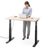 電動昇降デスク(スタンディングデスク・幅120cm・奥行70cm・木目調・高さメモリー付き・座りすぎ防止・ブラックフレーム・木目天板・ライトブラウン天板)
